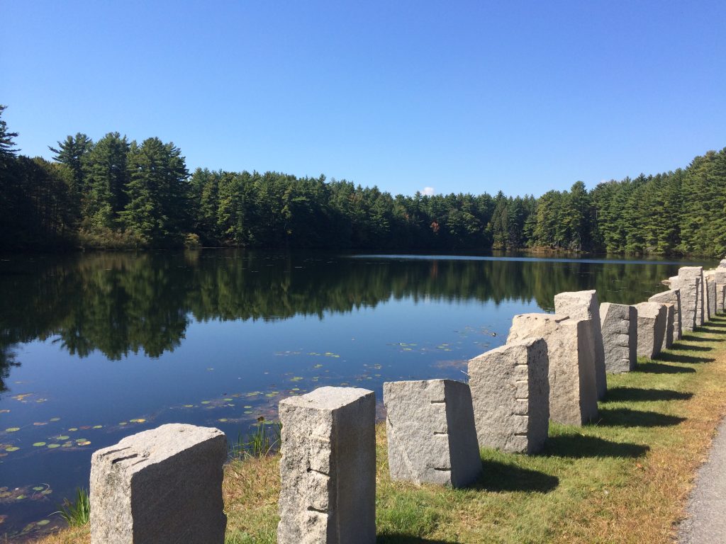 Photo of Supply Pond at the Water Treatment Plant.